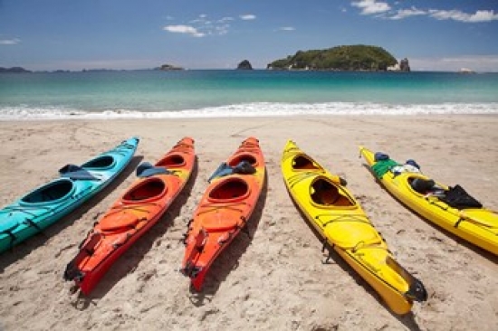 Kayaks on Beach Hahei Coromandel Peninsula North Island New Zealand Poster Print by David Wall
