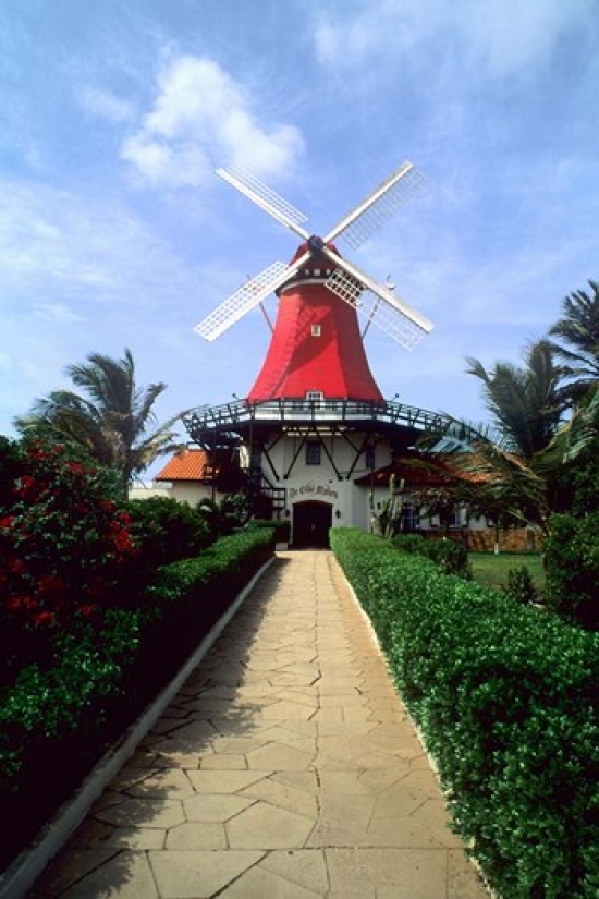 PDDCA04BBA0018 Windmill Famous Old Mill Restaurant in Aruba Poster Print by Bill Bachmann - 19 x 28 in.