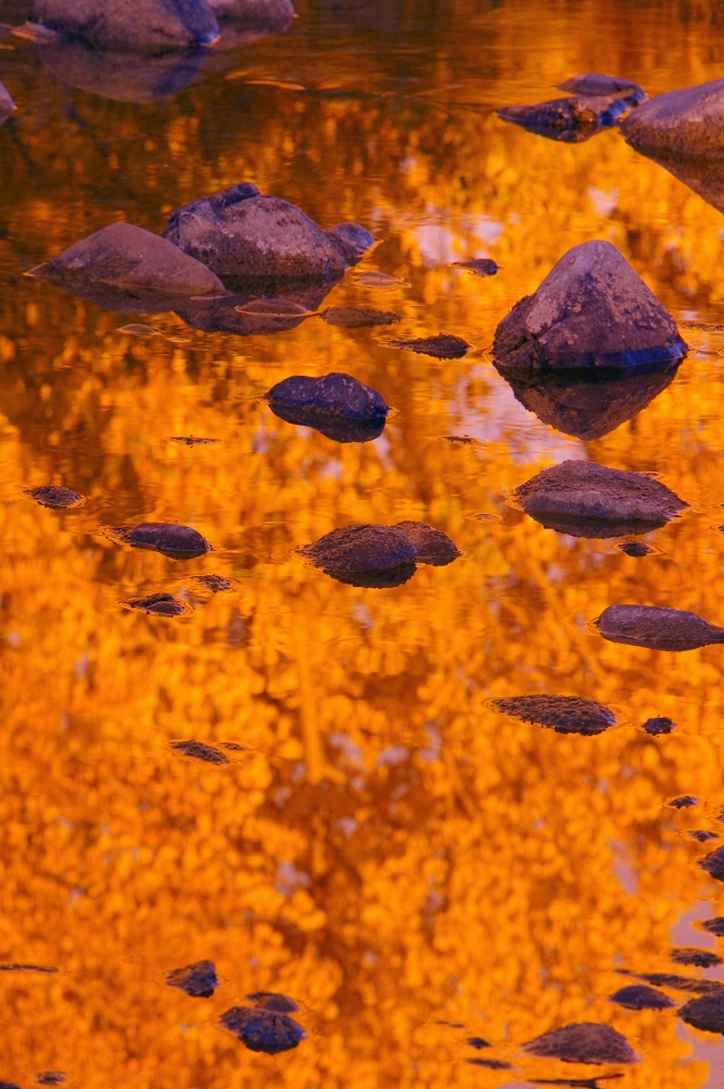 Autumn Reflections Poster Print by Carson Ganci, 22 x 34 - Large