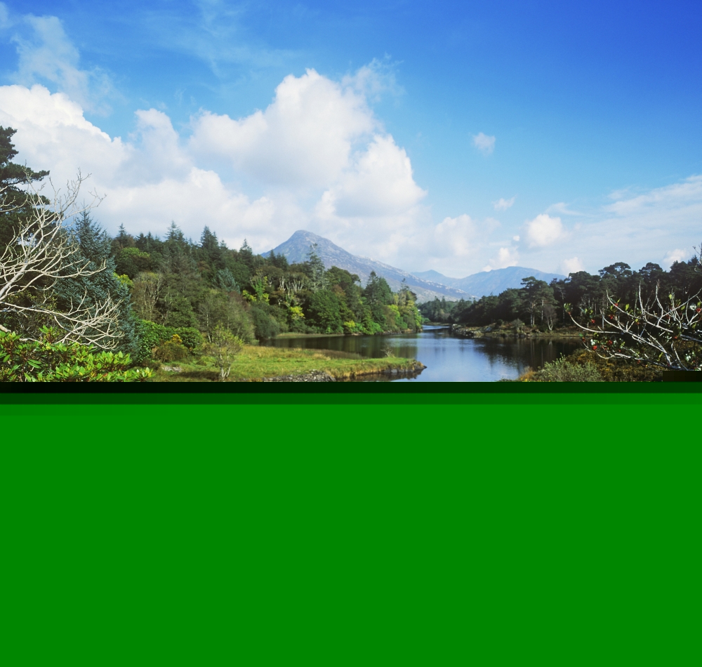 DPI1798438 River Passing Through A Forest Connemara County Galway Republic of Ireland Poster Print by The Irish Image Collection, 14 x 13
