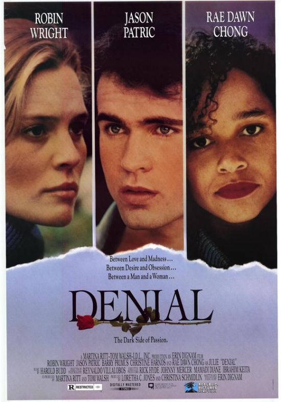 Denial Movie Poster - 27 x 40 in.