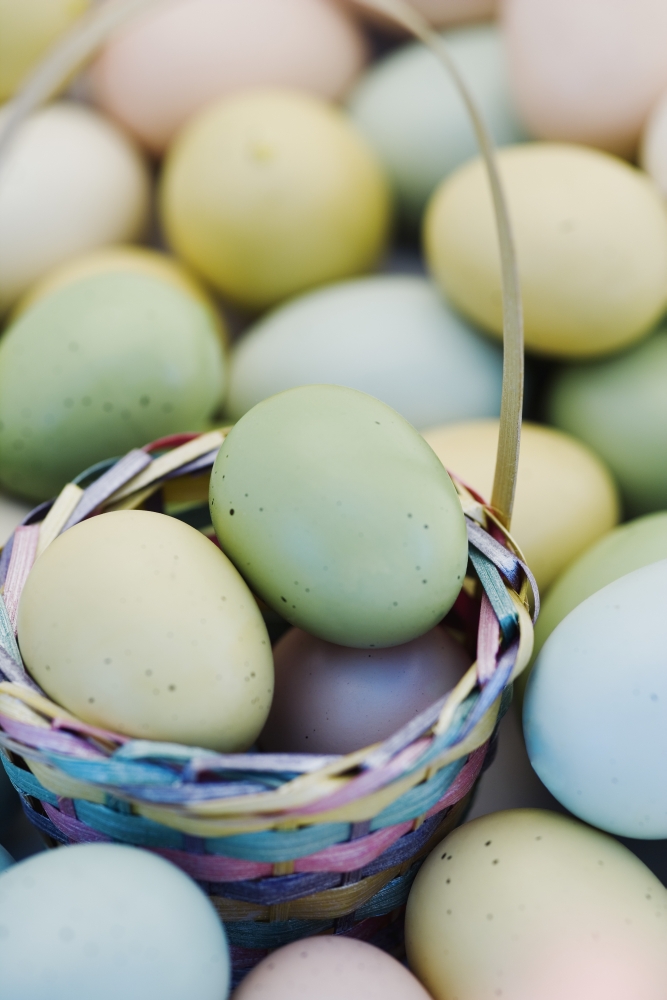 Easter Eggs & Basket Poster Print by Darren Greenwood - 12 x 18