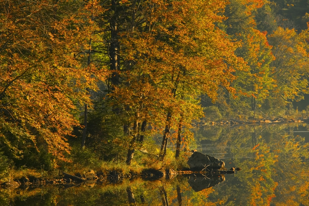 Autumn Scenic Poster Print by Alan Marsh - 18 x 12
