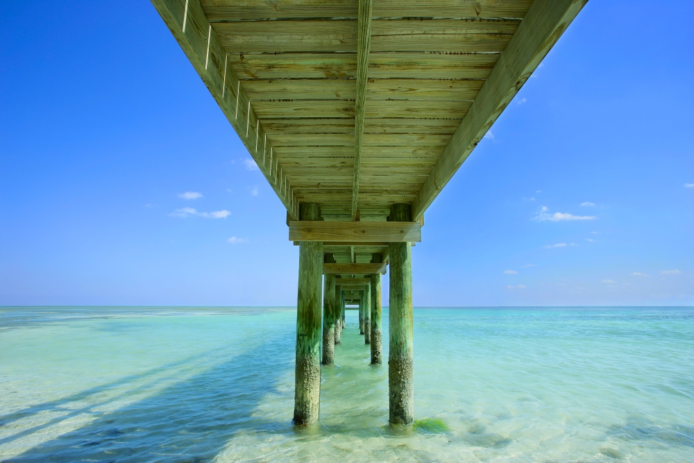 Underneath A Pier Poster Print by Don Hammond, 34 x 22 - Large