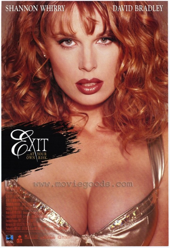 MOVEH1657 Exit Movie Poster - 27 x 40 in.