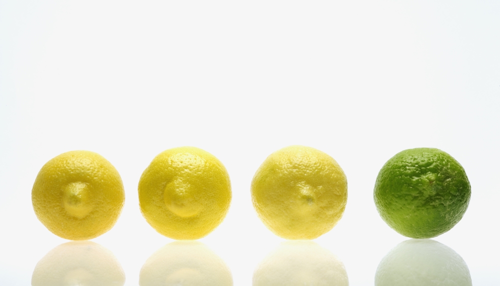 Lemons & Lime Poster Print by Kelly Redinger, 20 x 11