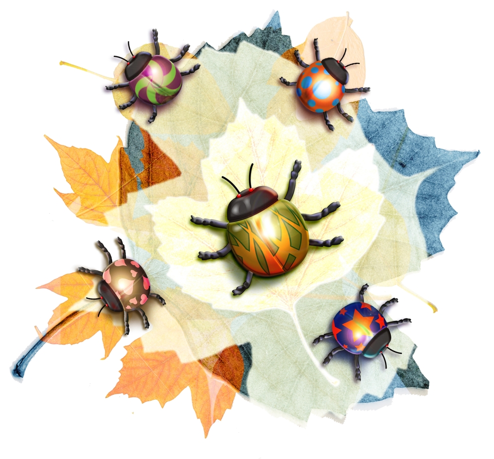 Ladybug Illustration Poster Print by Design Pics Eye Traveller - 15 x 14
