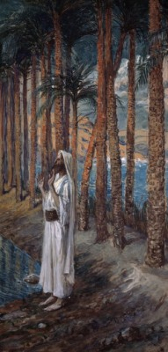 The Palm Tree James Tissot 1836-1902 French Jewish Museum New York City Poster Print - 18 x 24 in.