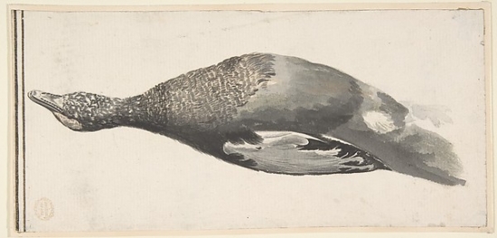 Dead Duck Poster Print by Count Giorgio Durante - 18 x 24 in.