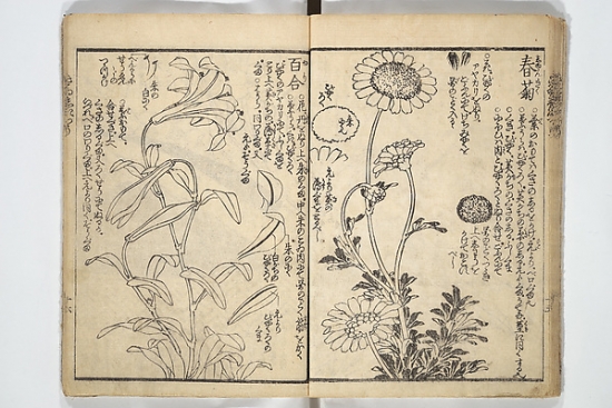 MET78771 Picture Book on the Use of Coloring First Volume Ehon Saishikitsu Shohen Poster Print by Katsushika Hokusai