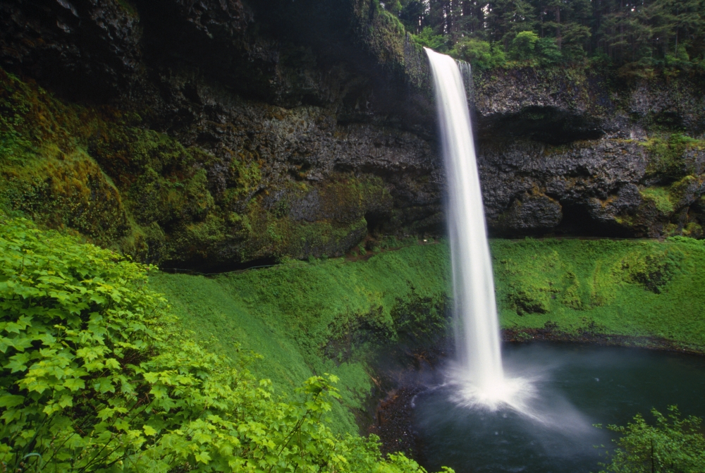 DPI1784668 Silver Falls State Park Oregon USA Poster Print by Natural Selection Craig Tuttle, 18 x 12