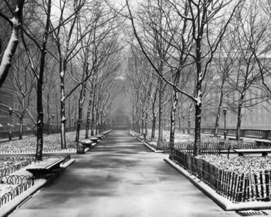 Bare Trees in a Park Bryant Park Manhattan New York City New York USA Poster Print - 18 x 24 in.