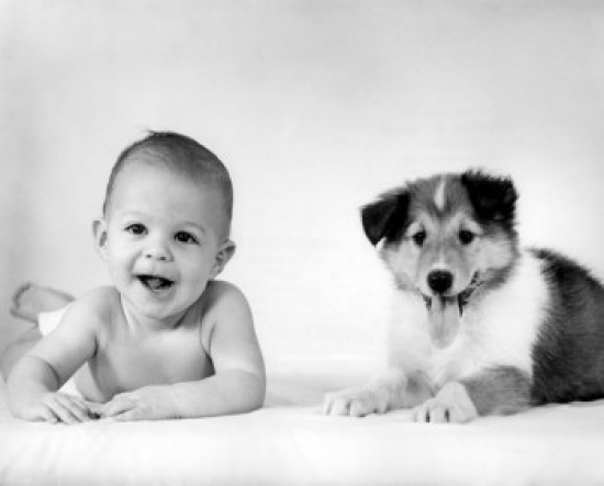 Baby with Dog Lying on Bed Poster Print 18 x 24 in.