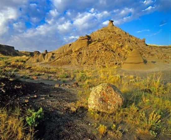 PDDCN01CHA0062 Dinosaur Provincial Park in Alberta Canada Poster Print by Chuck Haney - 27 x 23 in.