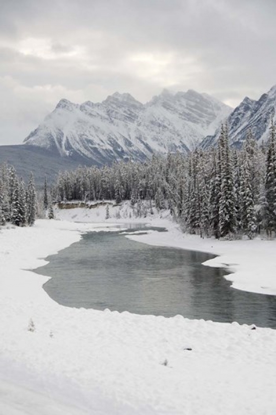 PDDCN01CMI0086 Icefields Parkway Jasper National Park Alberta Canada Poster Print by Cindy Miller Hopkins