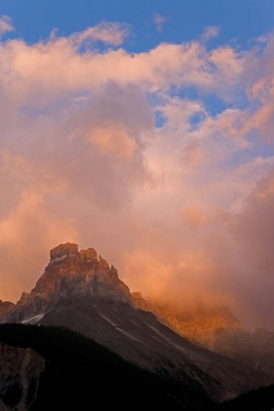 PDDCN02BJA0019 British Columbia Yoho Np Cathedral Mountain Poster Print by Jaynes Gallery - 17 x 26 in.