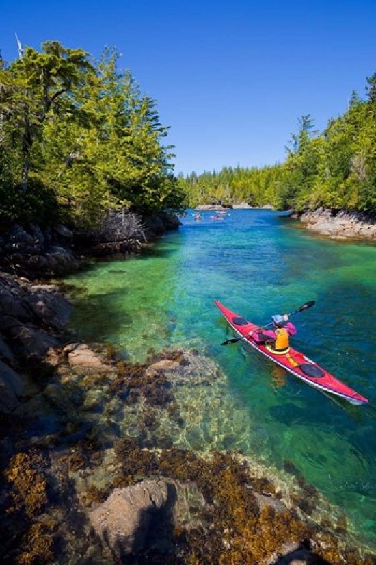 PDDCN02GLU0049 British Columbia Vancouver Island Sea Kayakers Poster Print by Gary Luhm - 18 x 26 in.