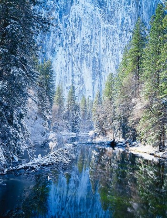PDDUS05SSM0031 Winter Trees Along Merced River Yosemite Valley Yosemite National Park California Poster Print by Scott T. Smith Danita