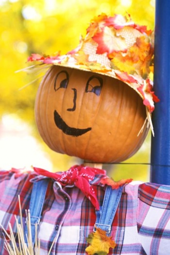 PDDUS48RTI0120 Wa Chelan Halloween Holiday Scarecrow Poster Print by Rob Tilley - 23 x 34 in.