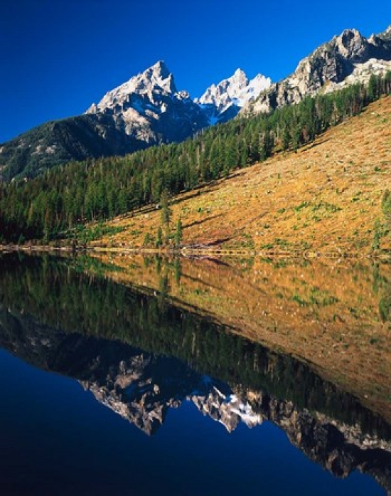 PDDUS51AJE0074 Cathedral Group Reflecting in String Lake Grand Teton National Park Wyoming Poster Print by Adam Jones