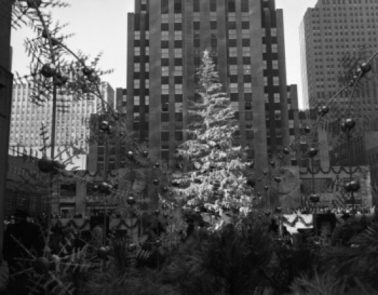 Christmas Tree in Front of Skyscraper Poster Print - 18 x 24 in.