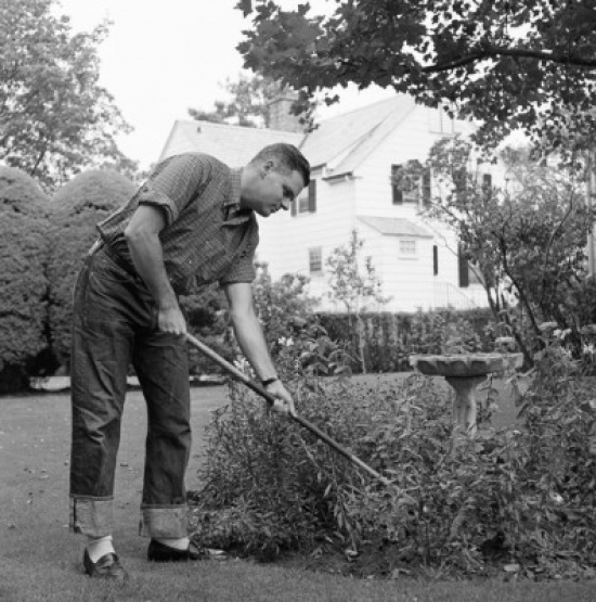 Young Man Working in Garden Poster Print - 18 x 24 in.