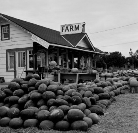 Farmers Market for Fruit & Vegetables Poster Print