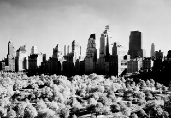 USA New York State New York City View of Central Park & Manhattan Skyline Poster Print - 18 x 24 in.
