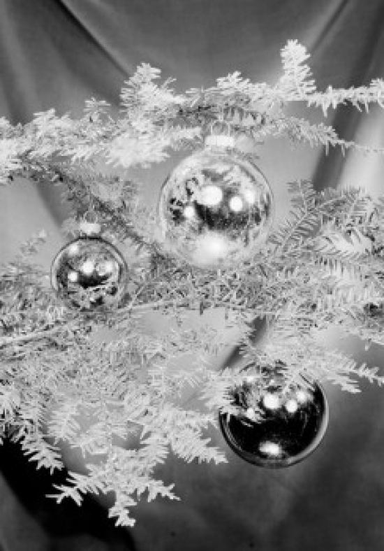 Christmas Baubles on Branch Poster Print - 18 x 24 in.