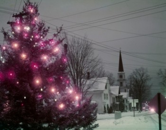 Illuminated Christmas Tree in Town Poster Print - 18 x 24 in.