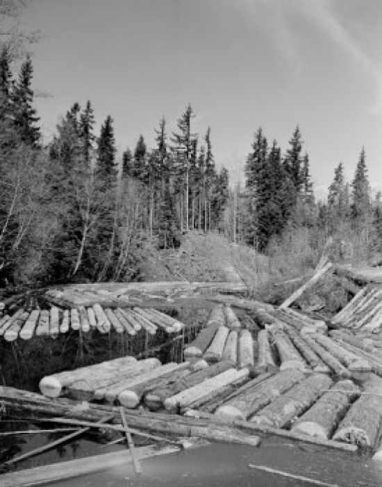 Tree Logs Floating on Water Poster Print - 18 x 24 in.
