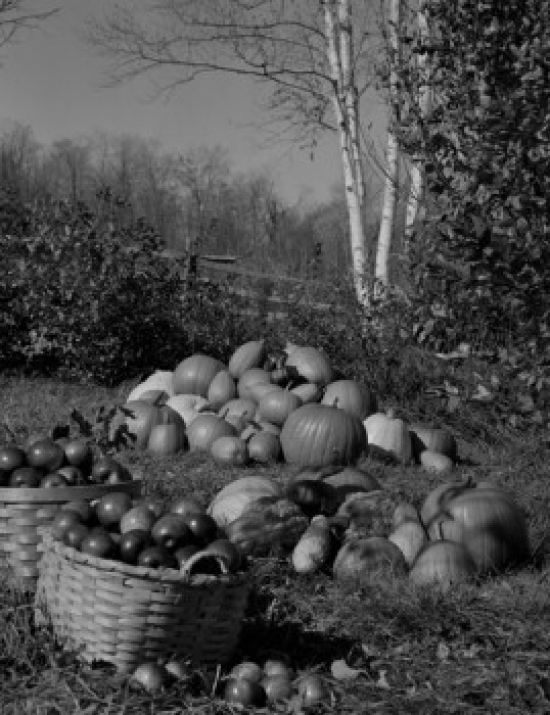 Pumpkins & Apples in Baskets Poster Print - 18 x 24 in.