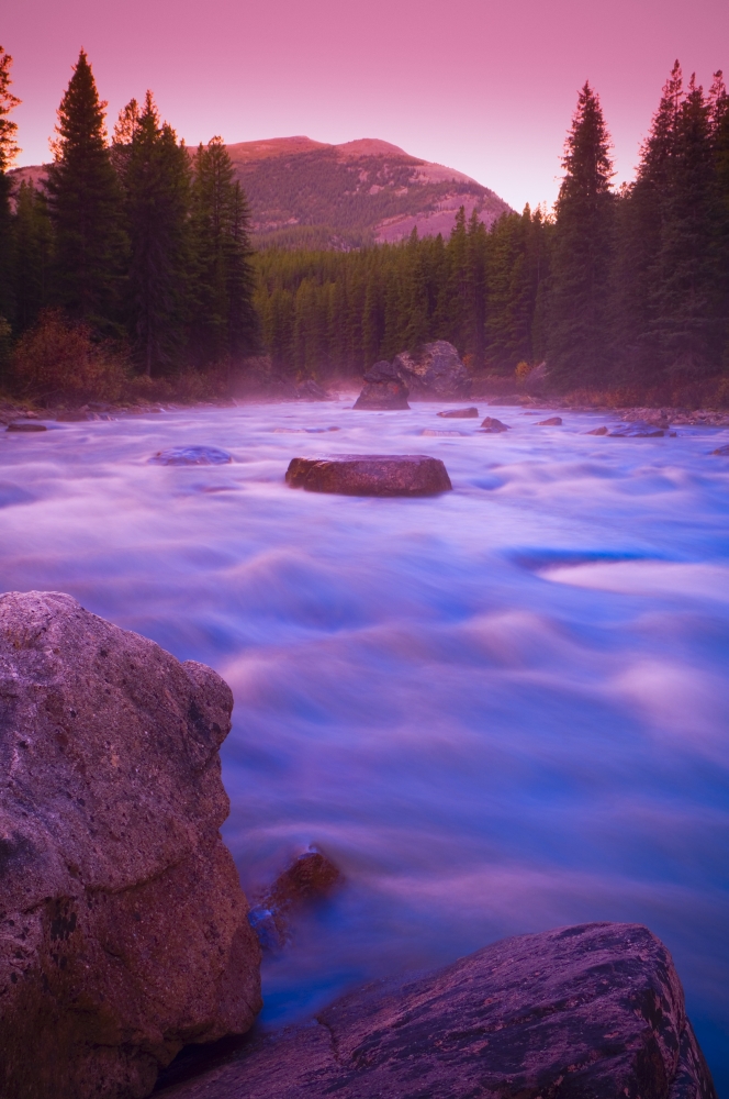 DPI1801594 Maligne River Through The Rocky Mountains Poster Print by Corey Hochachka, 11 x 17