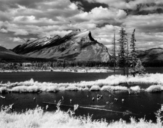 Canada Alberta Banff National Park Poster Print - 18 x 24 in.