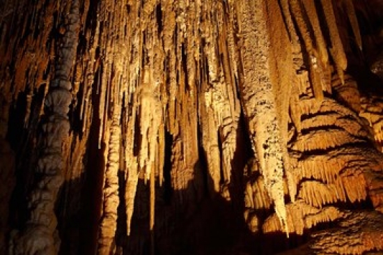 Stalactites Newdegate Cave Hastings Caves Australia Poster Print by David Wall - 29 x 19 in.