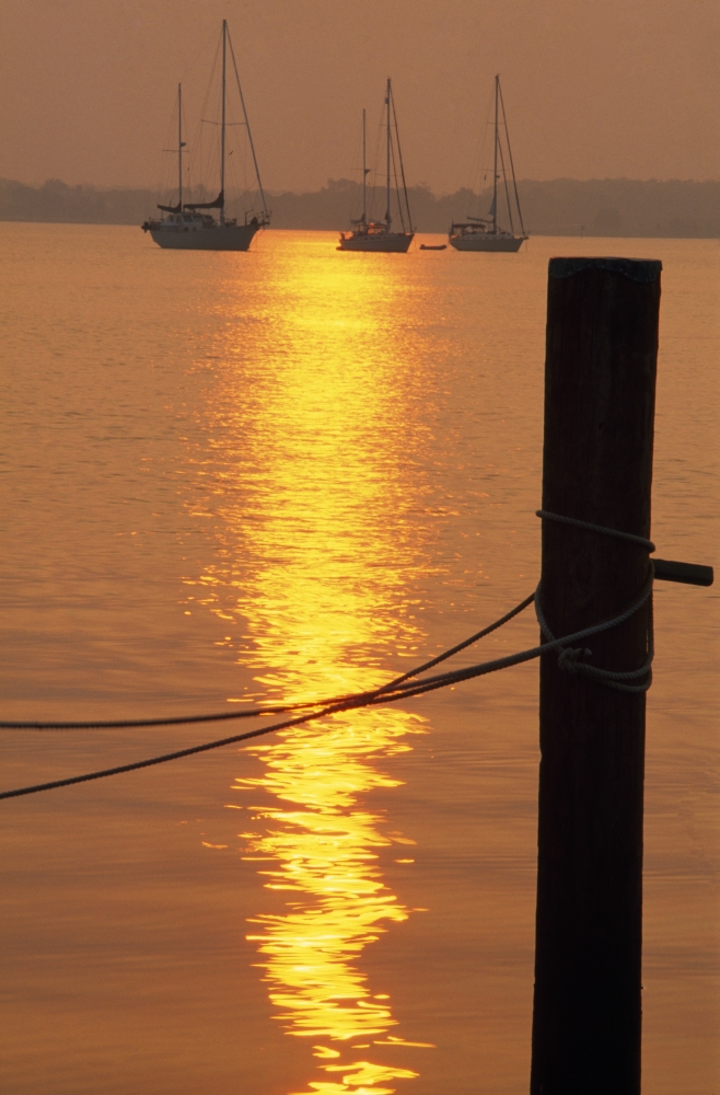 Sailboats At Sunset Poster Print - 24 x 36 - Large