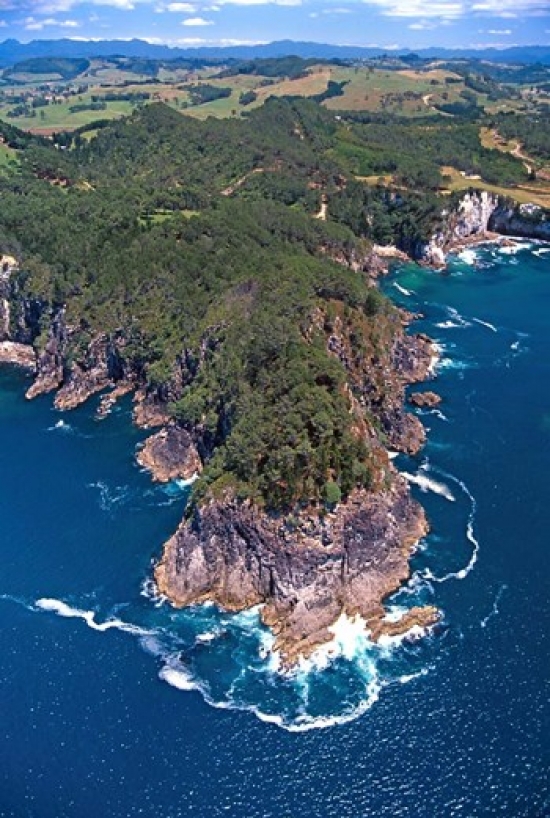Coast South of Hahei Coromandel Peninsula Poster Print by David Wall - 23 x 34 in.