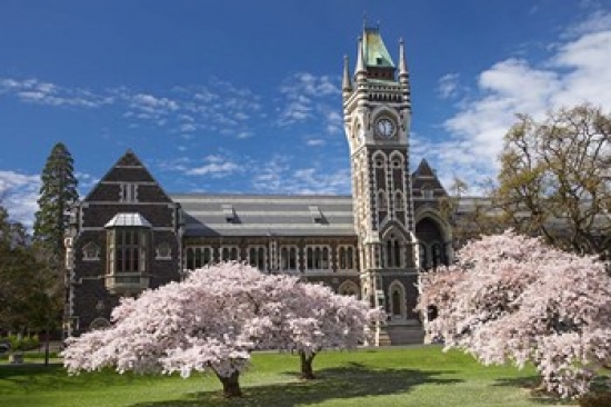 PDDAU02DWA6428 Clock Tower Historical Registry Building & Spring Blossom University of Otago South Island New Zealand Poster Print