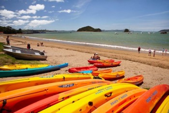 PDDAU02DWA6622 Kayaks on Beach Paihia Bay of Islands Northland North Island New Zealand Poster Print by David Wall