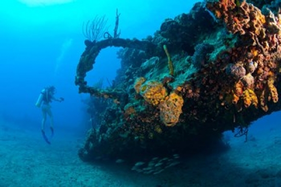 Scuba Diver Rms Rhone Wreck British Virgin Isl Poster Print by Stuart Westmorland - 35 x 23 in.