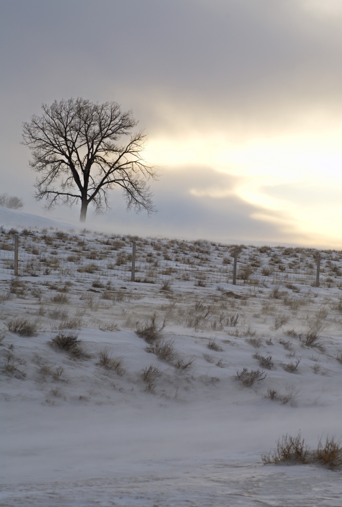 Winter Landscape Poster Print by Chris & Kate Knorr, 12 x 17