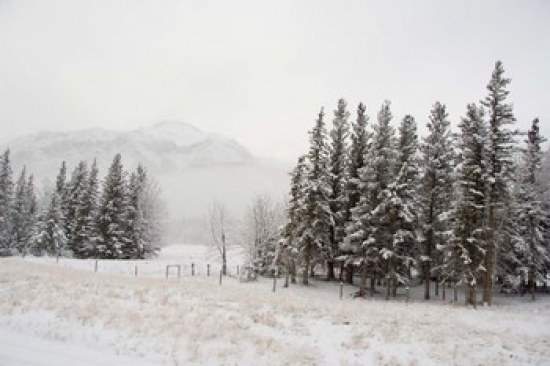 PDDCN01CMI0021 Winter Views From Train Alberta Canada Poster Print by Cindy Miller Hopkins - 26 x 17 in.
