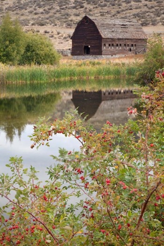 PDDCN02BJA0121 Canada Osoyoos Haynes Ranch Buildings Preservation Project Poster Print by Jaynes Gallery - 19 x 29 in.