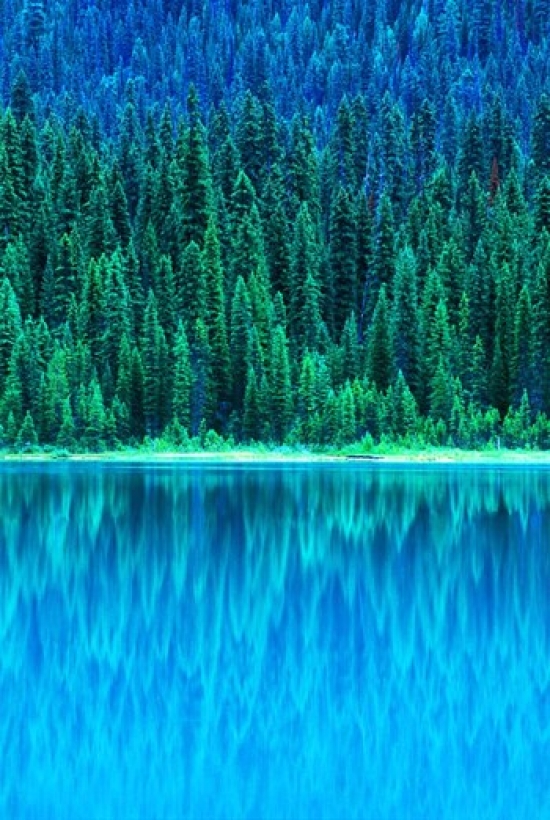 Emerald Lake Boathouse Yoho National Park British Columbia Canada Vertical Poster Print by Rob Tilley