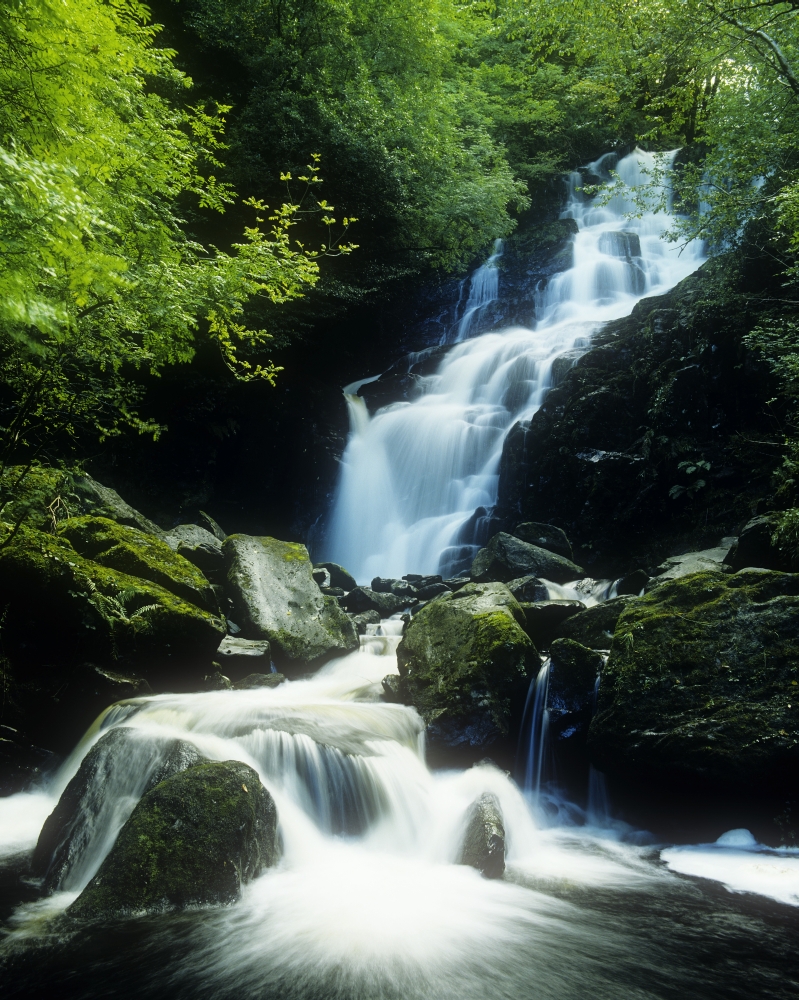 Waterfall in Killarney National Park Ireland Poster Print by The Irish Image Collection, 24 x 30 - Large
