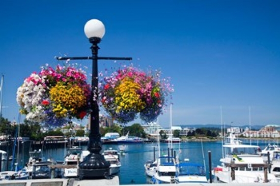 PDDCN02TEG0114 British Columbia Victoria Boat Harbor Poster Print by Terry Eggers - 29 x 19 in.
