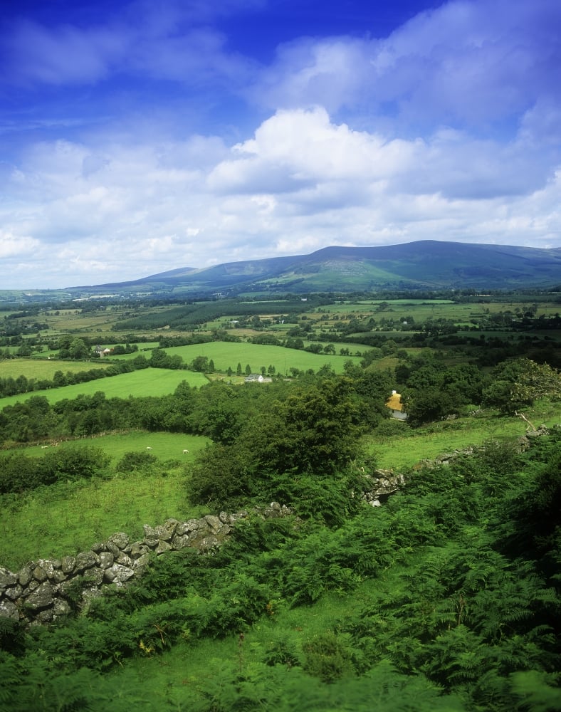 High Angle View of Fields On A Landscape Derrynamuck County Wicklow Republic of Ireland Poster Print by The Irish Image Collection, 12 x 15