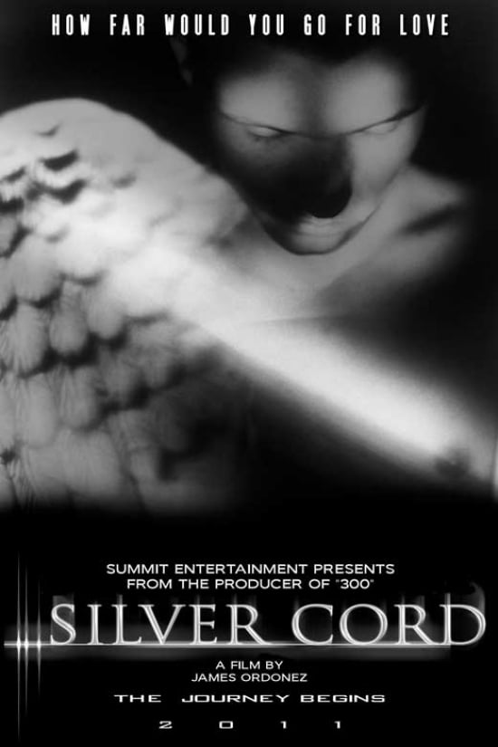 Silver Cord Movie Poster - 27 x 40 in.