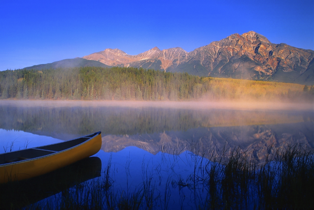 DPI1798688LARGE Jasper National Park in Alberta Canada Poster Print by Carson Ganci, 34 x 22 - Large