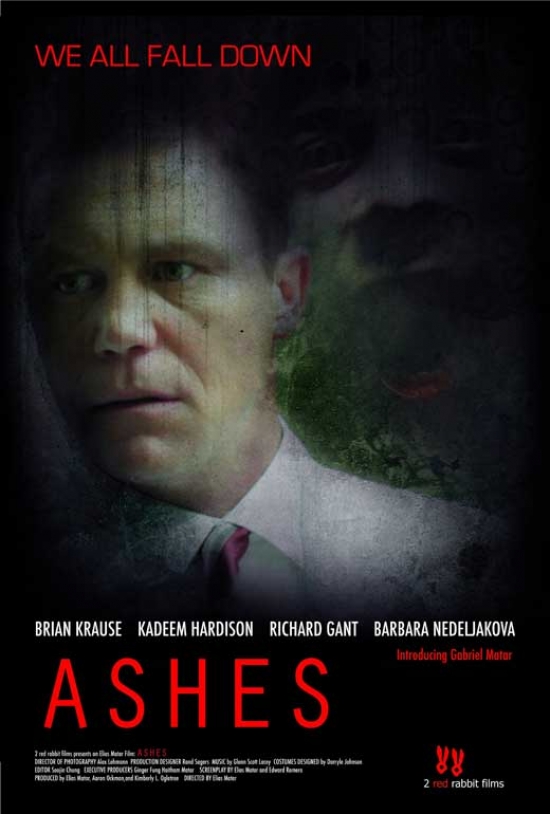 Ashes Movie Poster - 27 x 40 in.